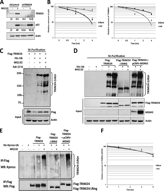 FIG 3