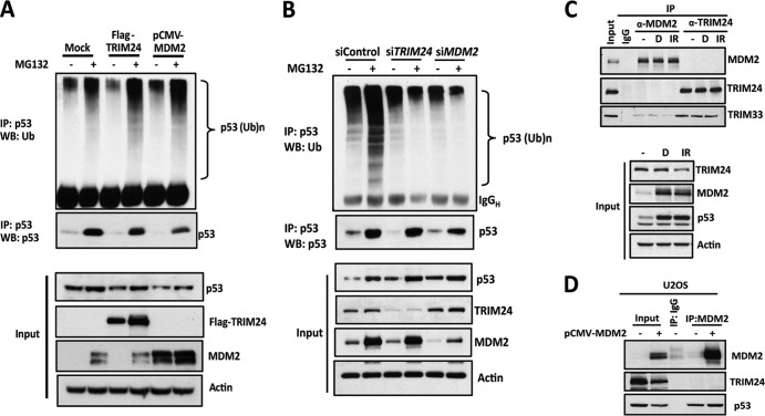 FIG 1