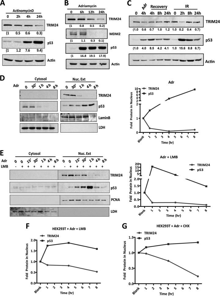 FIG 2