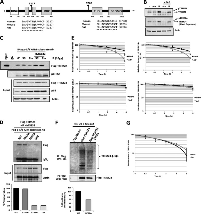 FIG 4