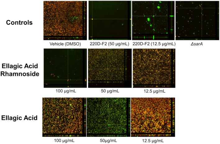 FIGURE 4