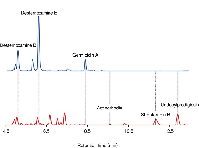 Fig. 2.