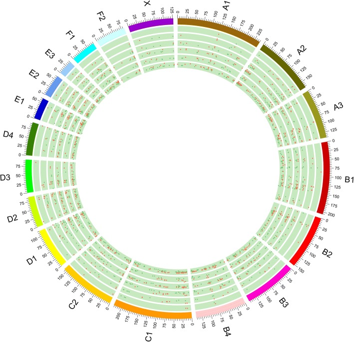 Fig. 2