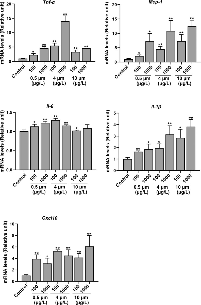 Figure 8 is a set of five bar graphs titled tumor necrosis factor alpha, monocyte chemoattractant protein-1, interleukin-6, interleukin-1 lowercase beta, and chemokine ligand 10, plotting Messenger Ribonucleic acid levels (relative unit), ranging from 0 to 20 in increments of 5; 0 to 20 in increments of 5; 0.0 to 1.5 in increments of 0.5; 0 to 5 in unit increments; and 0 to 10 in increments of 2 (y-axis) across control, 0.5 micrometer with 100 and 1,000, 4 micrometers with 100 and 1,000, and 10 micrometers with 100 and 1,000 (x-axis), respectively.