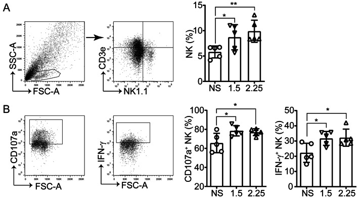 Fig. 3