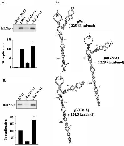 FIGURE 5.