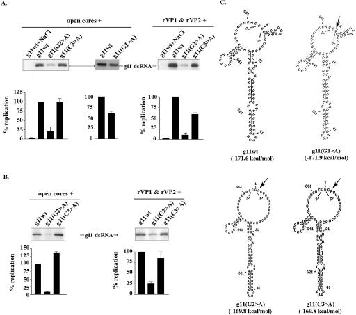 FIGURE 4.