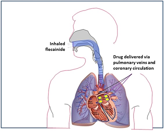 FIGURE 1.