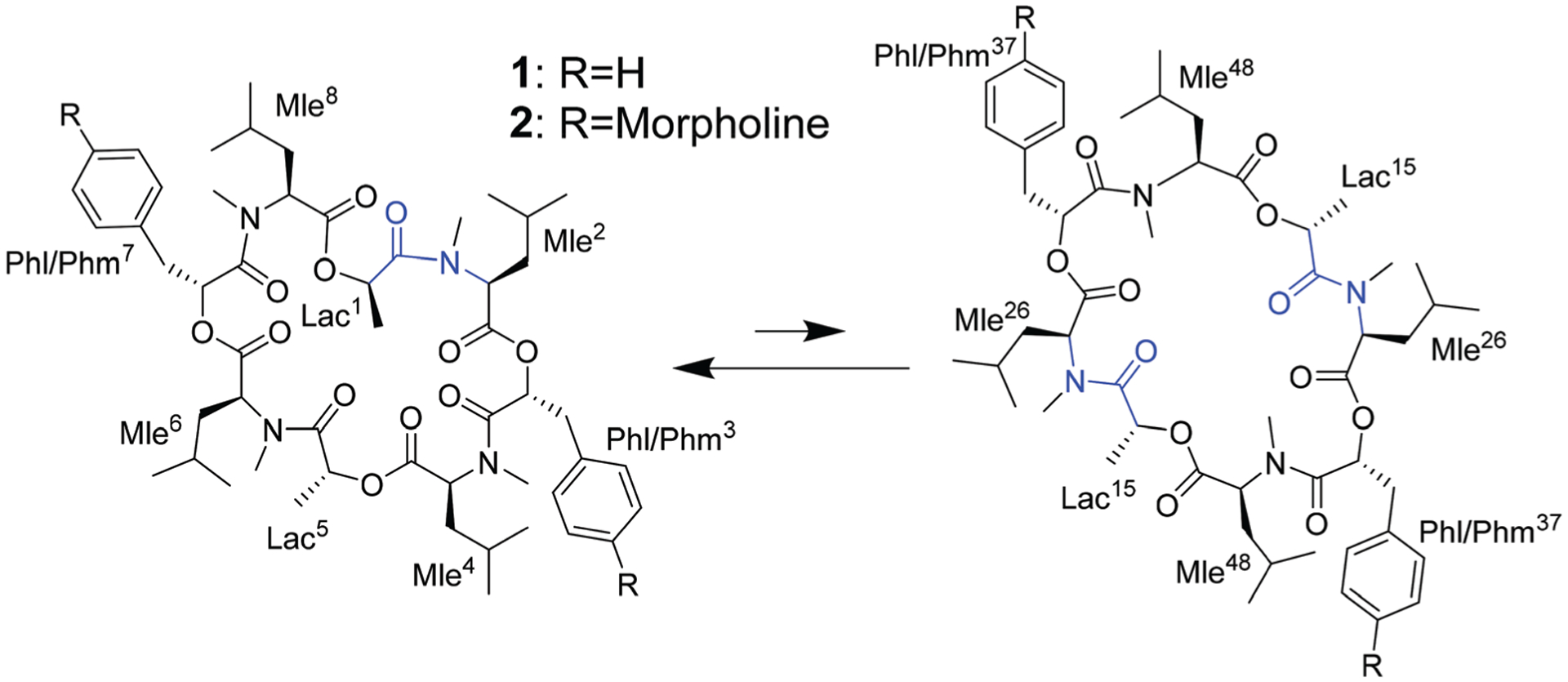 Scheme 2