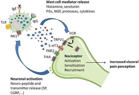 Fig. 2