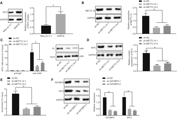 Figure 4