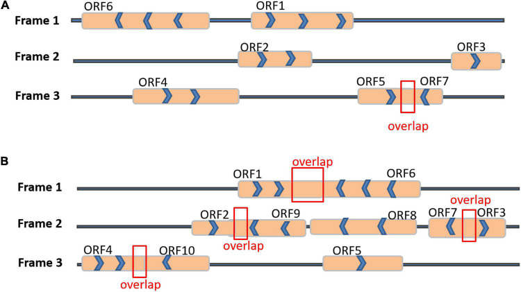 FIGURE 4