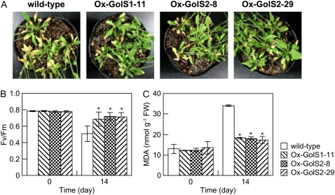 Figure 11.