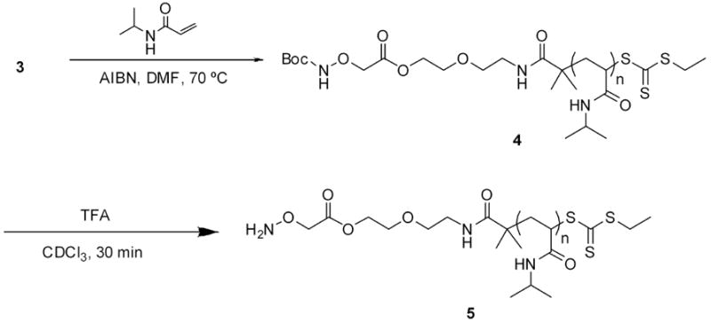 Scheme 2