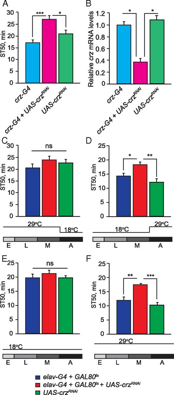 Figure 6.