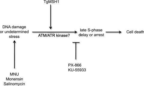 FIG. 8.