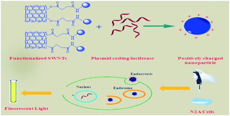 graphic file with name c6md00481d-ga.jpg