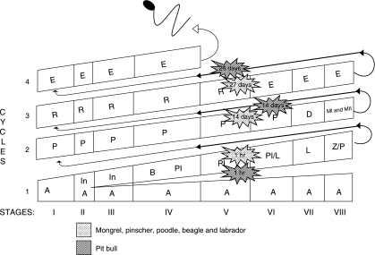 Fig. 5