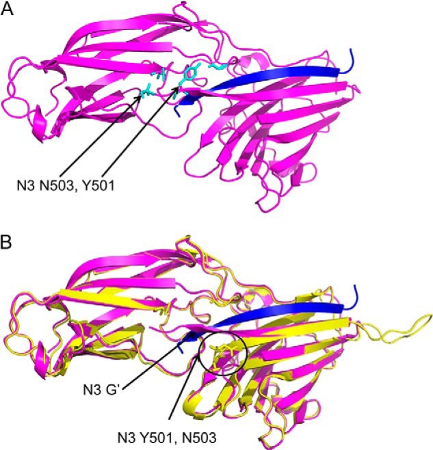 FIGURE 4.