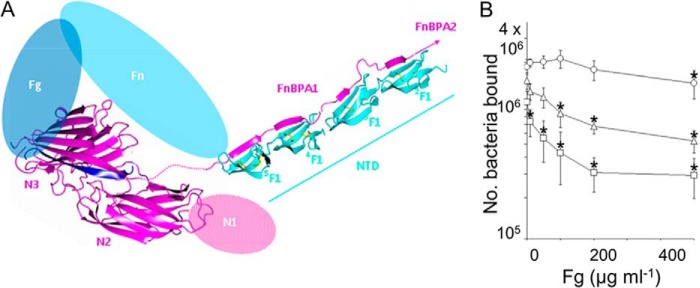 FIGURE 5.