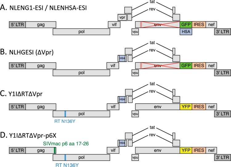 FIG 1