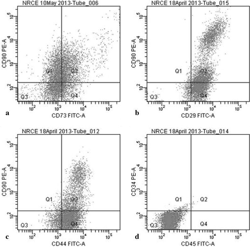 Fig. 6