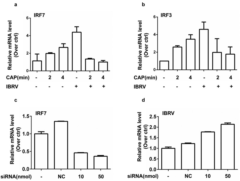 Figure 6.