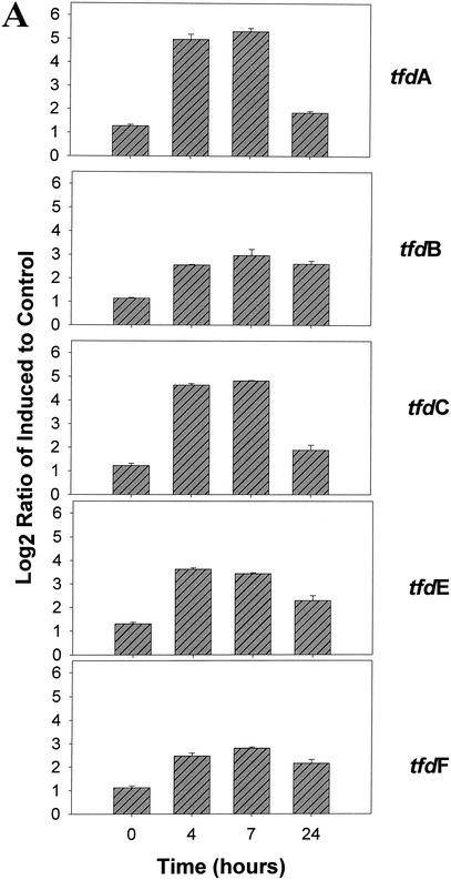 FIG. 2.