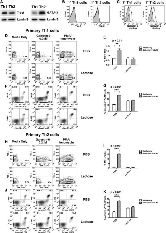 Fig. 3.