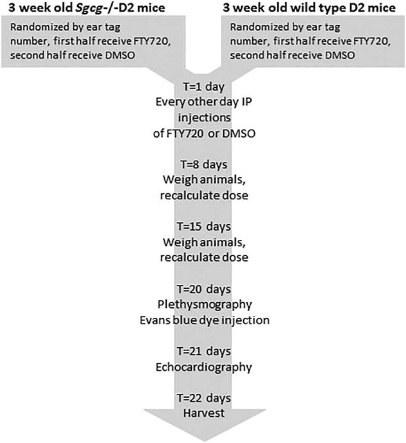 FIGURE 1