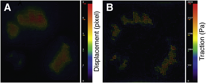 Figure 4