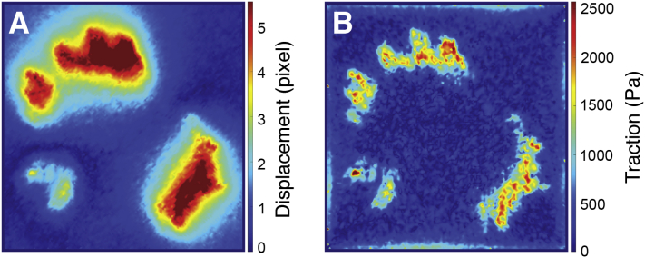 Figure 5