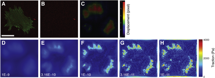 Figure 3