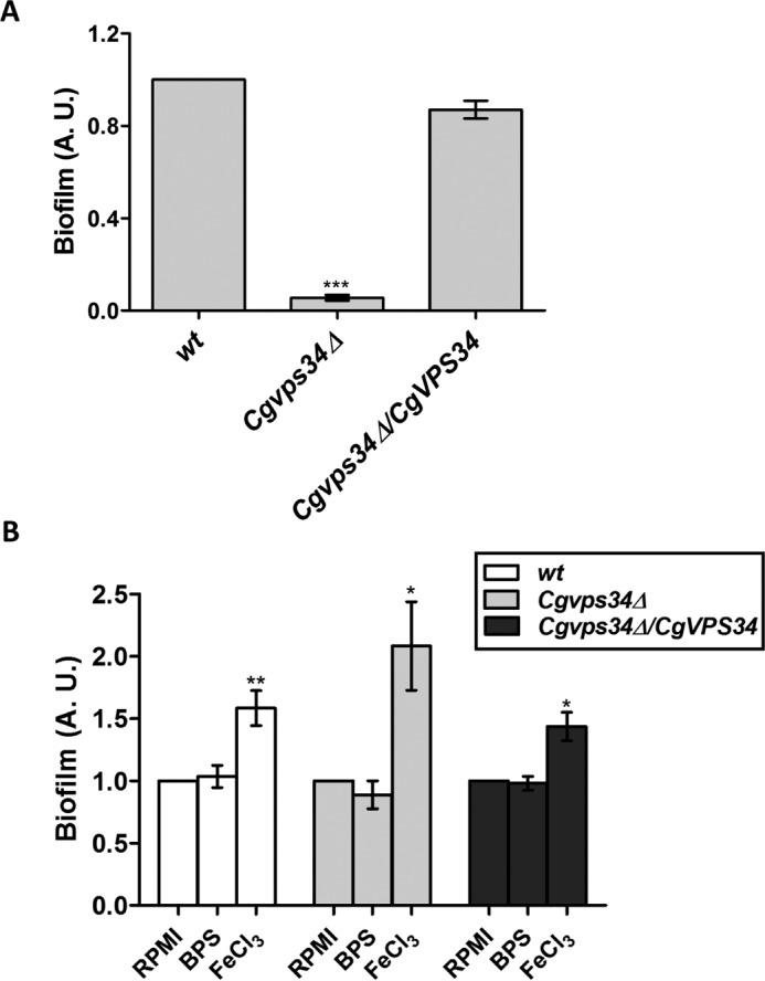 FIGURE 12.