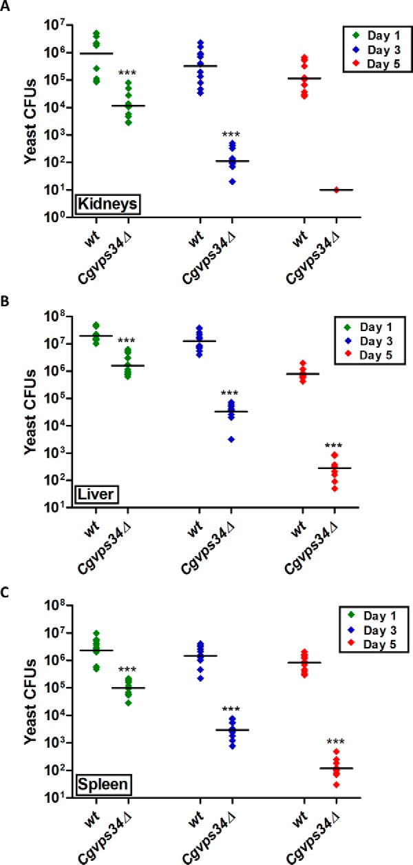 FIGURE 13.