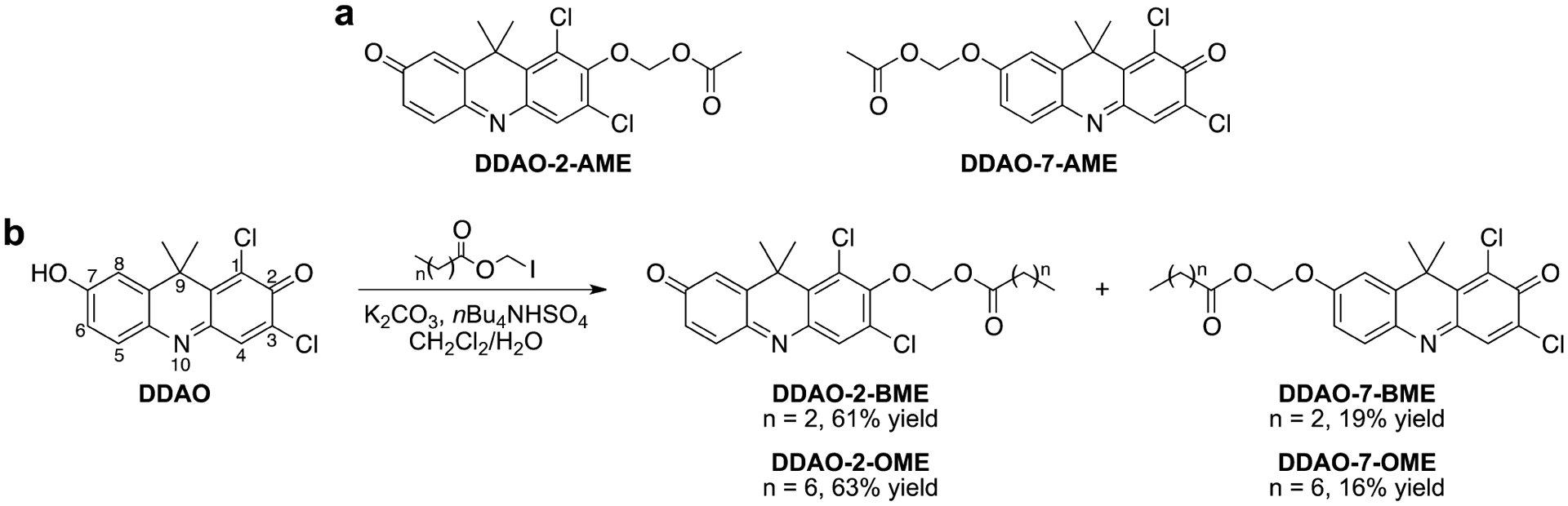 Scheme 1.