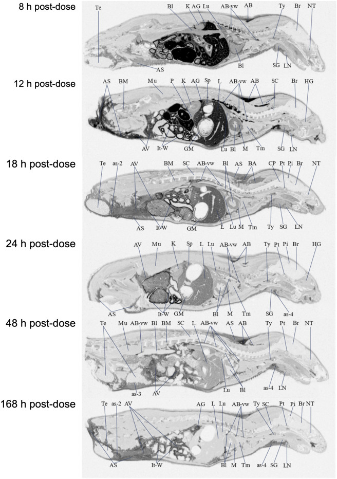 FIGURE 3