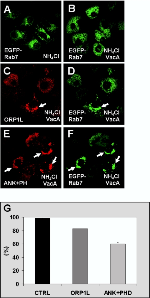 Figure 12.