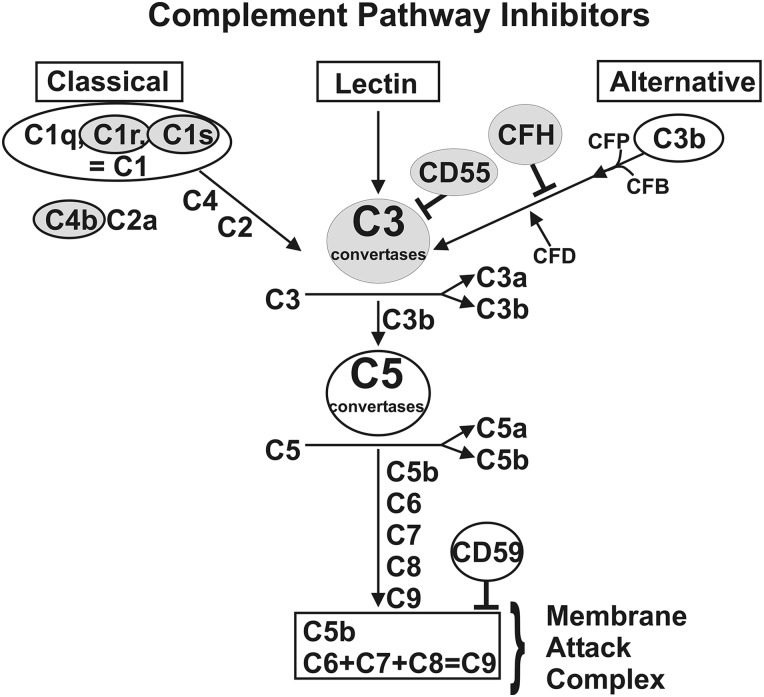 Figure 1.