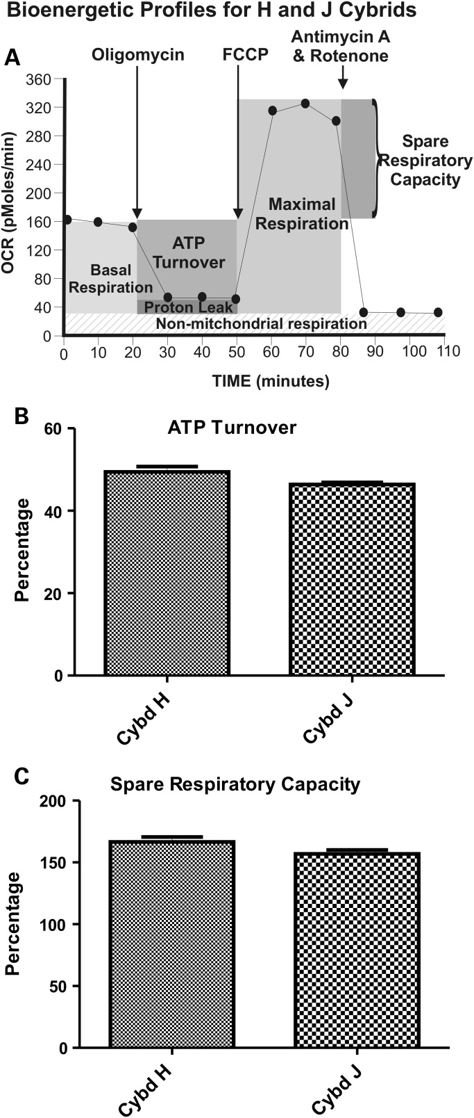 Figure 3.