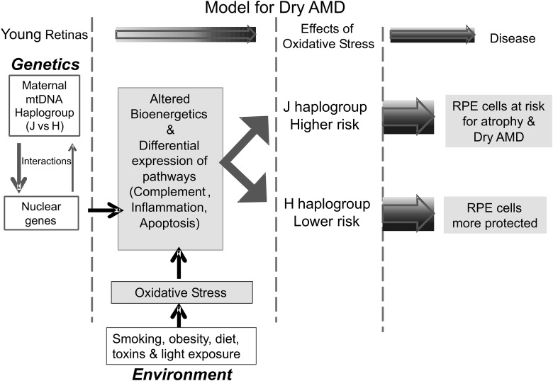 Figure 4.