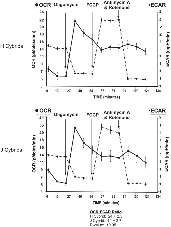 Figure 2.