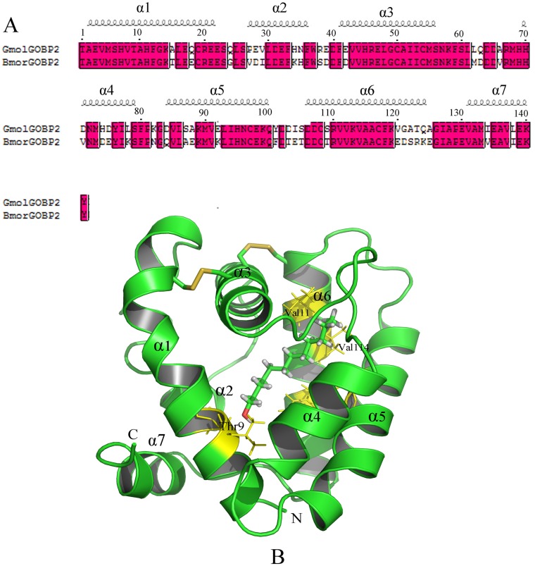 Fig 7