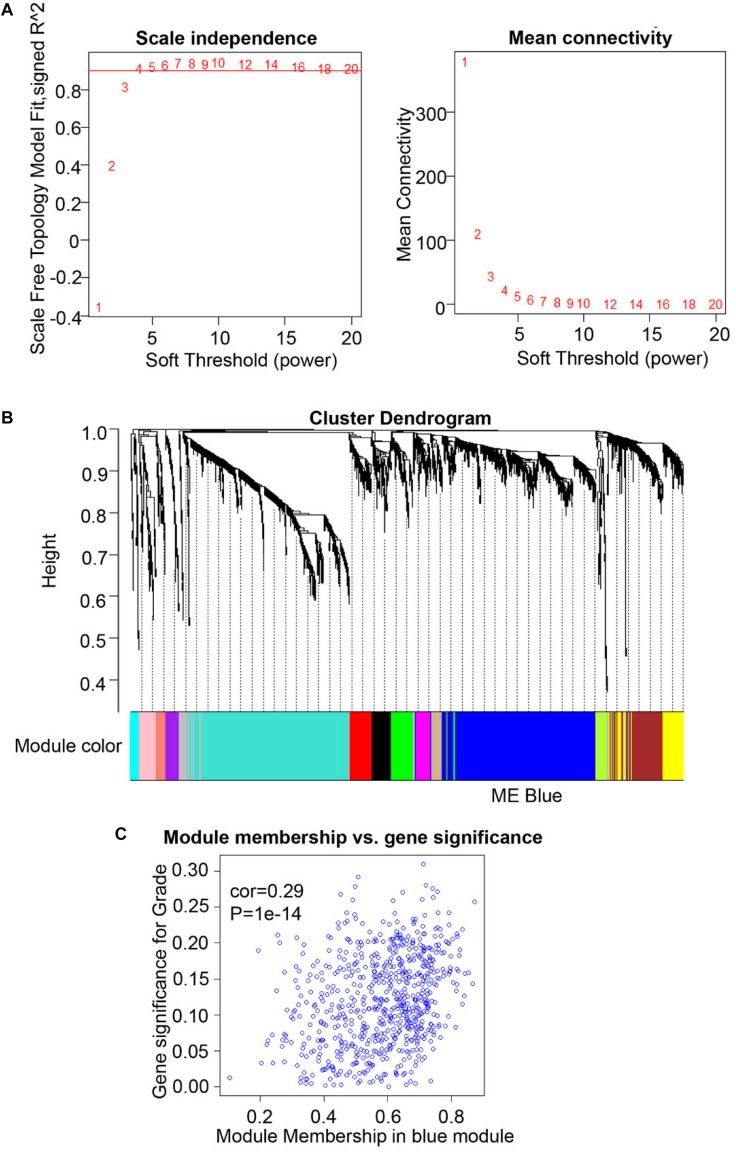 FIGURE 3