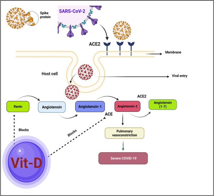 FIGURE 3