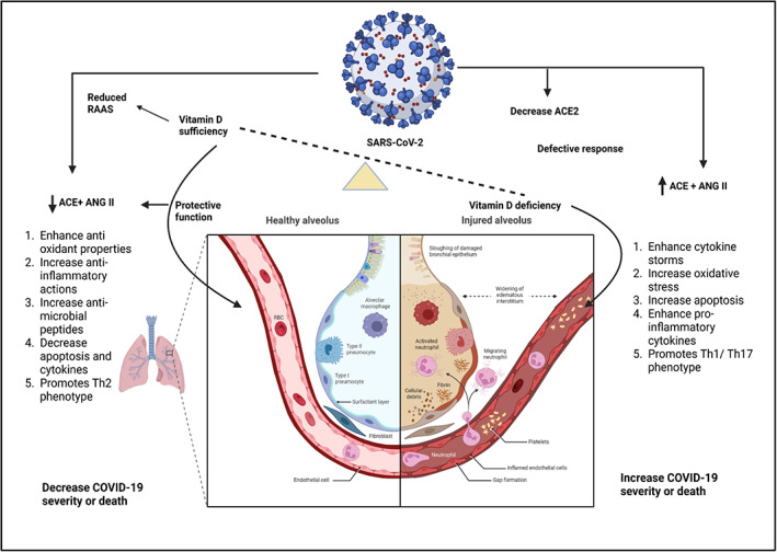 FIGURE 4