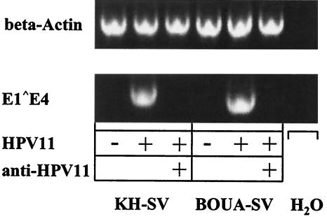 FIG. 10.