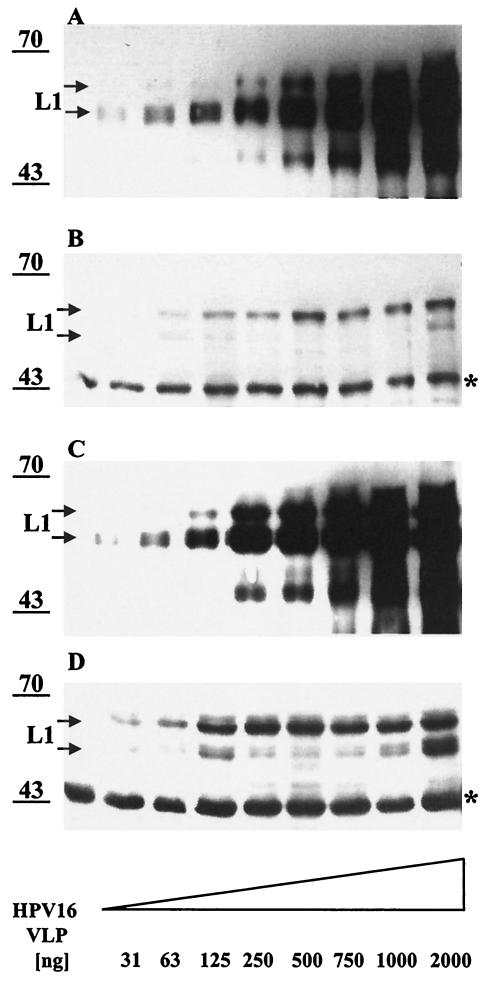 FIG. 9.