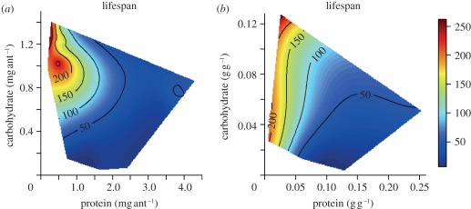 Figure 2.