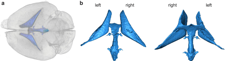 Fig. 5